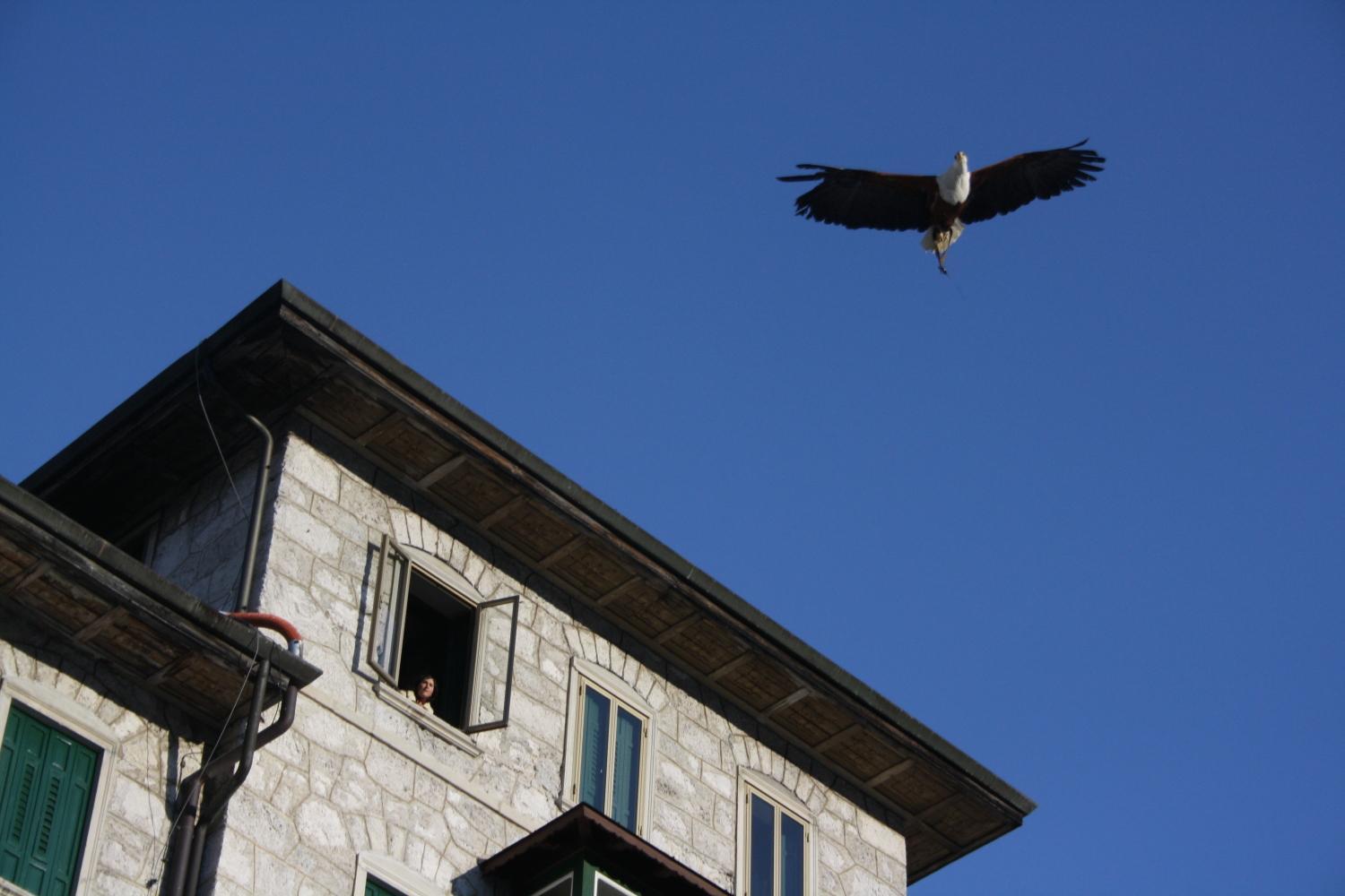 Th Borca Di Cadore - Park Hotel Des Dolomites Exterior photo